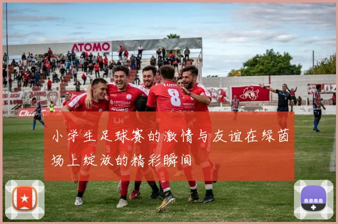 小学生足球赛的激情与友谊在绿茵场上绽放的精彩瞬间