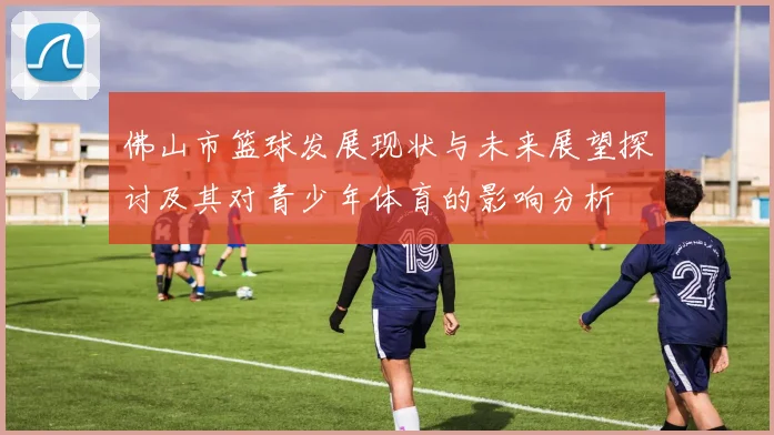 佛山市篮球发展现状与未来展望探讨及其对青少年体育的影响分析